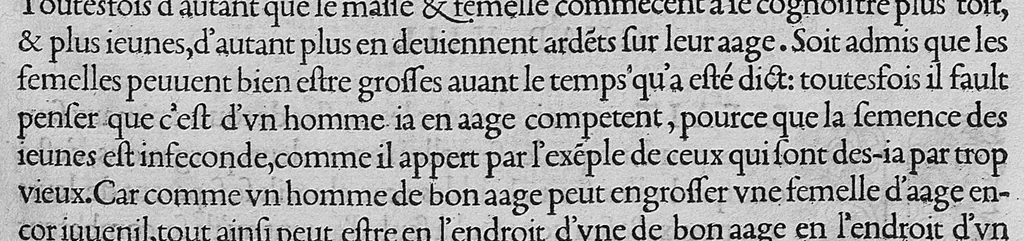 An illustration from L'histoire de la nature des oiseaux, avec leurs descriptions, et naïfs portraicts retirez du naturel, écrite en sept livres, 1555, leaf 48