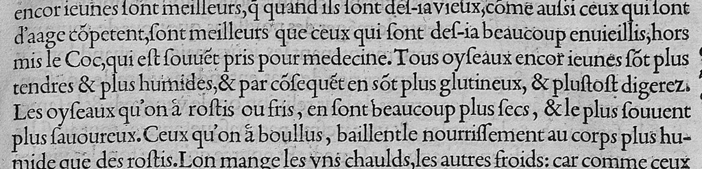 An illustration from L'histoire de la nature des oiseaux, avec leurs descriptions, et naïfs portraicts retirez du naturel, écrite en sept livres, 1555, leaf 80