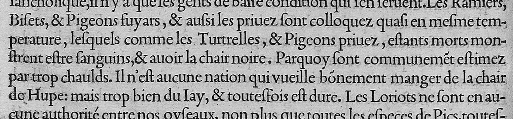 An illustration from L'histoire de la nature des oiseaux, avec leurs descriptions, et naïfs portraicts retirez du naturel, écrite en sept livres, 1555, leaf 85