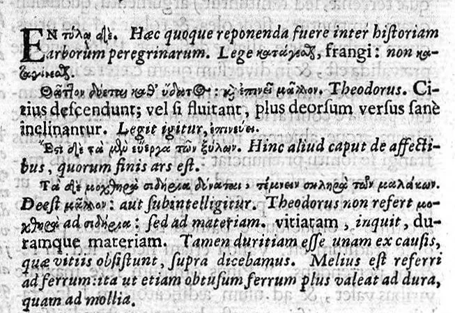An illustration from Theophrasti Eresii de Historia plantarum libri decem graece et latine. In quibus textum graecum..., latinam Gazae versionem... rariorum plantarum iconibus illustravit Joannes Bodaeus a Stapel,... Accesserunt Julii Caesaris Scaligeri in eosdem libros animadversiones, et Roberti Constantini annotationes..., 1644, leaf 550