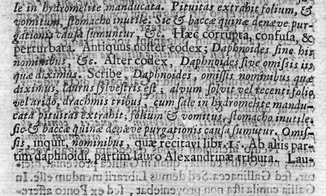 An illustration from Theophrasti Eresii de Historia plantarum libri decem graece et latine. In quibus textum graecum..., latinam Gazae versionem... rariorum plantarum iconibus illustravit Joannes Bodaeus a Stapel,... Accesserunt Julii Caesaris Scaligeri in eosdem libros animadversiones, et Roberti Constantini annotationes..., 1644, leaf 582