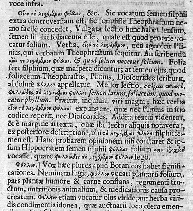 An illustration from Theophrasti Eresii de Historia plantarum libri decem graece et latine. In quibus textum graecum..., latinam Gazae versionem... rariorum plantarum iconibus illustravit Joannes Bodaeus a Stapel,... Accesserunt Julii Caesaris Scaligeri in eosdem libros animadversiones, et Roberti Constantini annotationes..., 1644, leaf 611