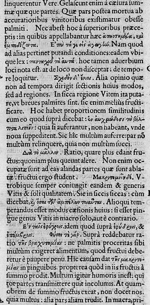 An illustration from Iulii Caesaris Scaligeri viri clariss. Commentarii, et animadversiones, in sex libros de causis plantarum Theophrasti, 1566, leaf 203