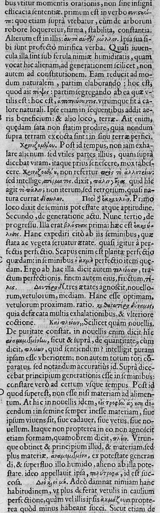 An illustration from Iulii Caesaris Scaligeri viri clariss. Commentarii, et animadversiones, in sex libros de causis plantarum Theophrasti, 1566, leaf 232