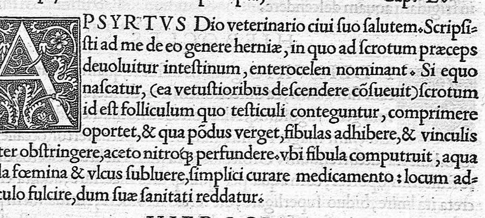 An illustration from Veterinariae medicinae libri II Johanne Ruellio suessionensi interprete., 1530, leaf 141