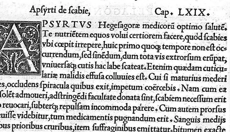 An illustration from Veterinariae medicinae libri II Johanne Ruellio suessionensi interprete., 1530, leaf 162