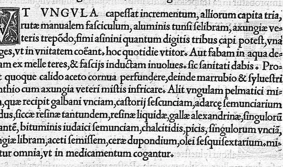 An illustration from Veterinariae medicinae libri II Johanne Ruellio suessionensi interprete., 1530, leaf 220