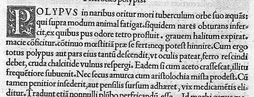 An illustration from Veterinariae medicinae libri II Johanne Ruellio suessionensi interprete., 1530, leaf 77