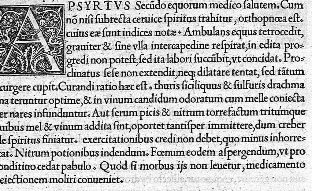 An illustration from Veterinariae medicinae libri II Johanne Ruellio suessionensi interprete., 1530, leaf 95