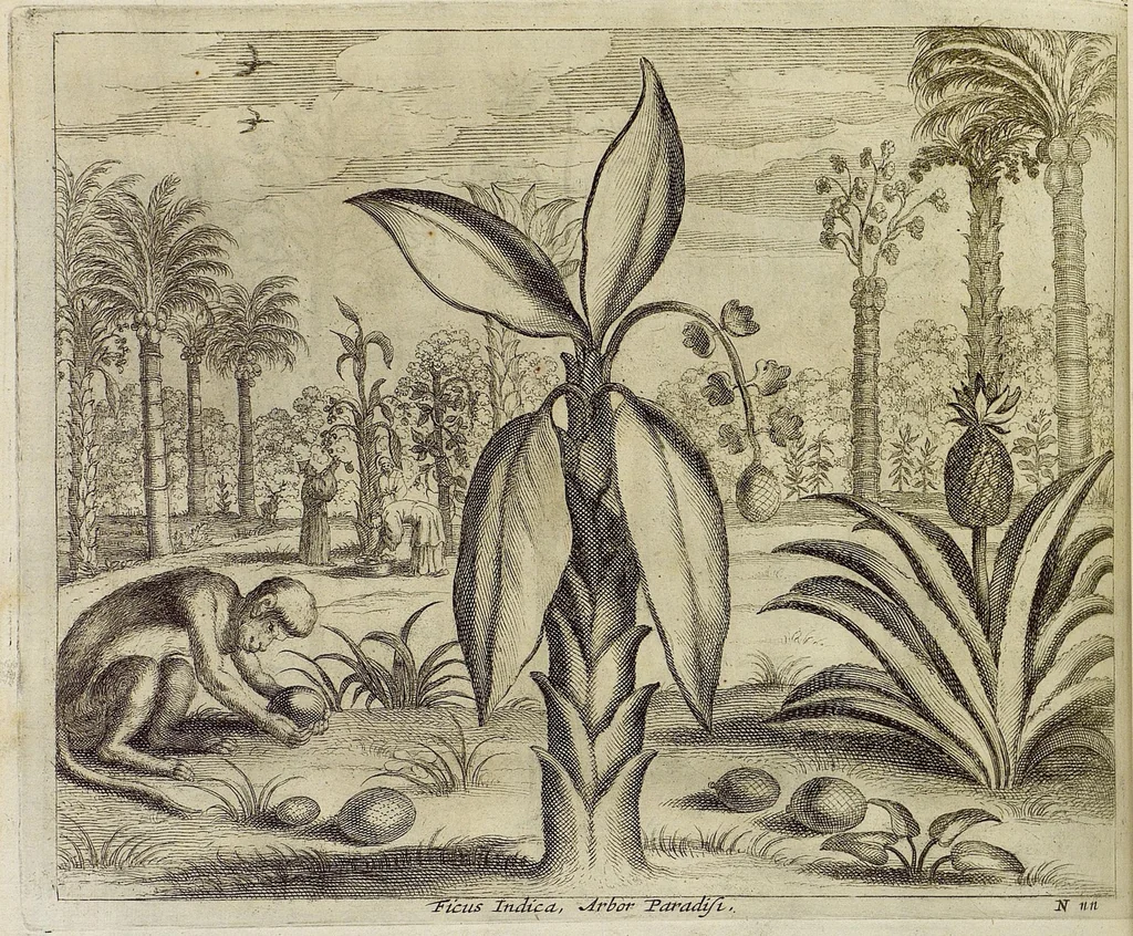 An illustration from Athanasii Kircheri e Soc. Jesu China monumentis, qua sacris qua profanis, nec non variis naturæ & artis spectaculis, aliarumque rerum memorabilium argumentis illustrata, auspiciis Leopoldi Primi, Roman. imper semper Augusti, 1667, leaf 252