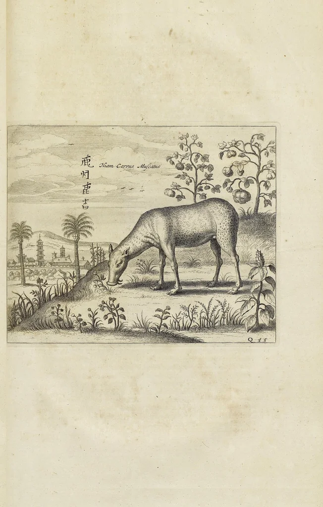 An illustration from Athanasii Kircheri e Soc. Jesu China monumentis, qua sacris qua profanis, nec non variis naturæ & artis spectaculis, aliarumque rerum memorabilium argumentis illustrata, auspiciis Leopoldi Primi, Roman. imper semper Augusti, 1667, leaf 281