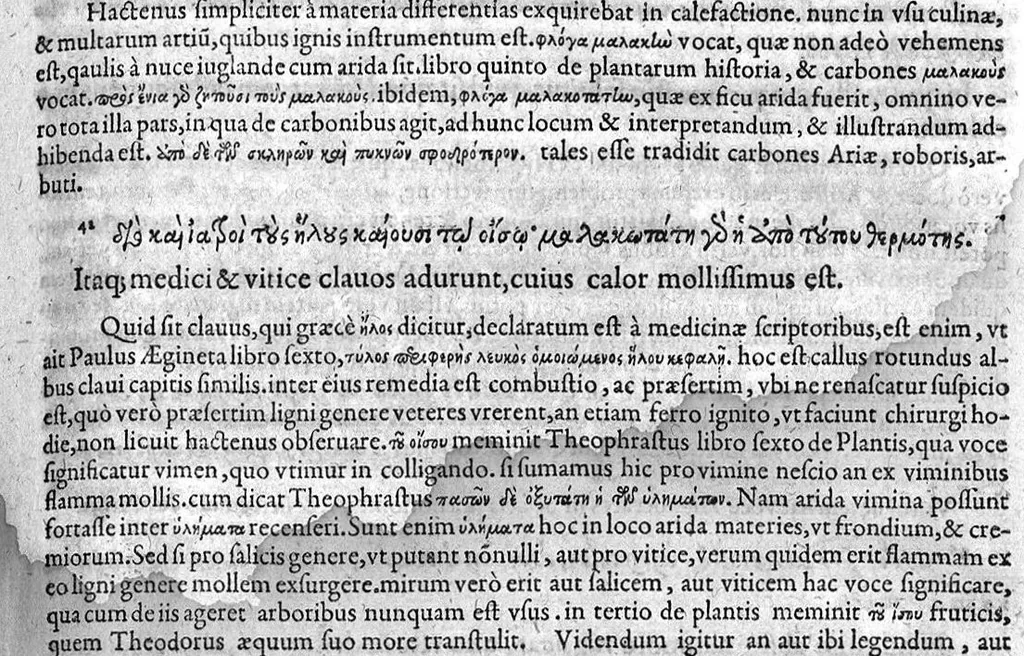 An illustration from Theophrasti Eresii, peripateticorum post Aristotelem principis, Pleraque : antehac Latine nunquam, nunc Graece & Latine simul edita. Interpretibus, Daniele Furlano Cretensi, Adriano Turnebo. Accesserunt, Liber de innato spiritu, Aristoteli attributus, & Danielis Furlani Uberes ad omnia Commentarii : Ex Bibliotheca Ioan. Vincentii Pinelli, 1605, leaf 166