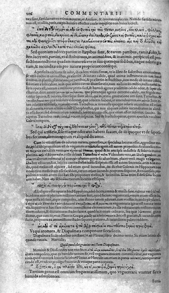 An illustration from Theophrasti Eresii, peripateticorum post Aristotelem principis, Pleraque : antehac Latine nunquam, nunc Graece & Latine simul edita. Interpretibus, Daniele Furlano Cretensi, Adriano Turnebo. Accesserunt, Liber de innato spiritu, Aristoteli attributus, & Danielis Furlani Uberes ad omnia Commentarii : Ex Bibliotheca Ioan. Vincentii Pinelli, 1605, leaf 207