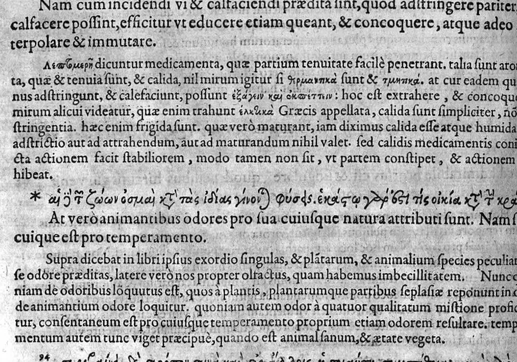 An illustration from Theophrasti Eresii, peripateticorum post Aristotelem principis, Pleraque : antehac Latine nunquam, nunc Graece & Latine simul edita. Interpretibus, Daniele Furlano Cretensi, Adriano Turnebo. Accesserunt, Liber de innato spiritu, Aristoteli attributus, & Danielis Furlani Uberes ad omnia Commentarii : Ex Bibliotheca Ioan. Vincentii Pinelli, 1605, leaf 229