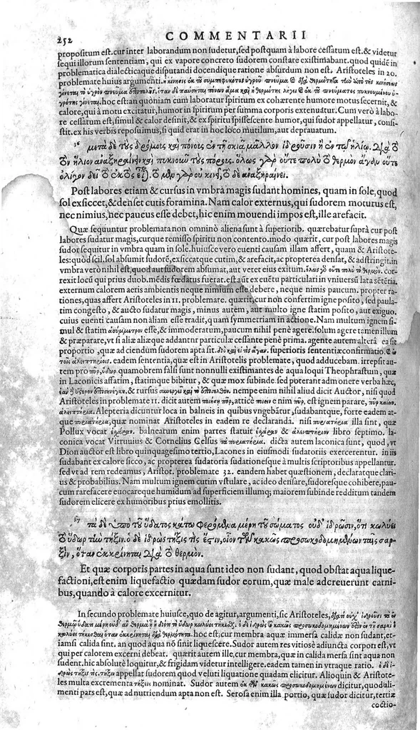 An illustration from Theophrasti Eresii, peripateticorum post Aristotelem principis, Pleraque : antehac Latine nunquam, nunc Graece & Latine simul edita. Interpretibus, Daniele Furlano Cretensi, Adriano Turnebo. Accesserunt, Liber de innato spiritu, Aristoteli attributus, & Danielis Furlani Uberes ad omnia Commentarii : Ex Bibliotheca Ioan. Vincentii Pinelli, 1605, leaf 253