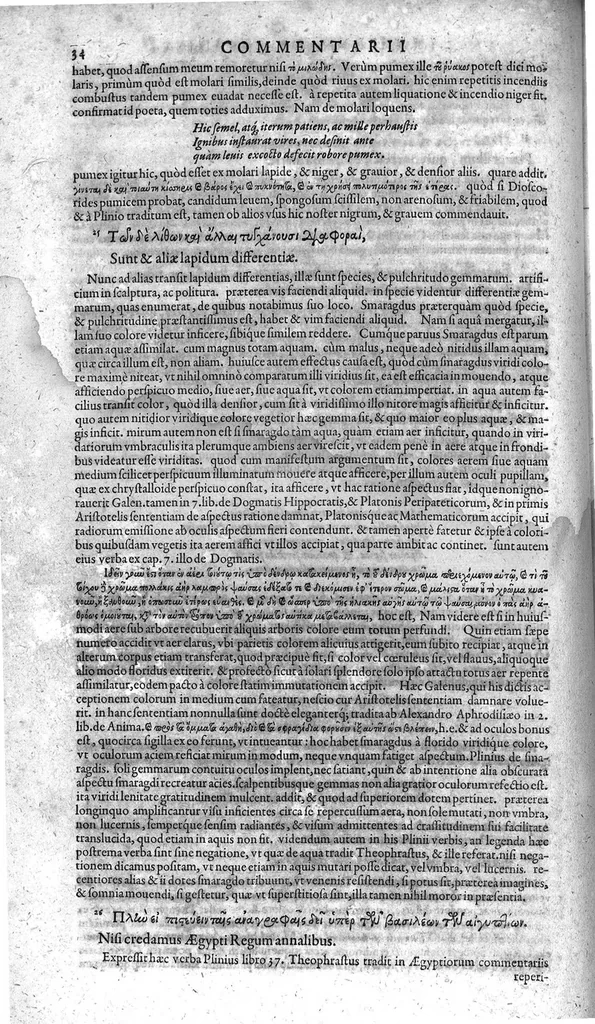 An illustration from Theophrasti Eresii, peripateticorum post Aristotelem principis, Pleraque : antehac Latine nunquam, nunc Graece & Latine simul edita. Interpretibus, Daniele Furlano Cretensi, Adriano Turnebo. Accesserunt, Liber de innato spiritu, Aristoteli attributus, & Danielis Furlani Uberes ad omnia Commentarii : Ex Bibliotheca Ioan. Vincentii Pinelli, 1605, leaf 35