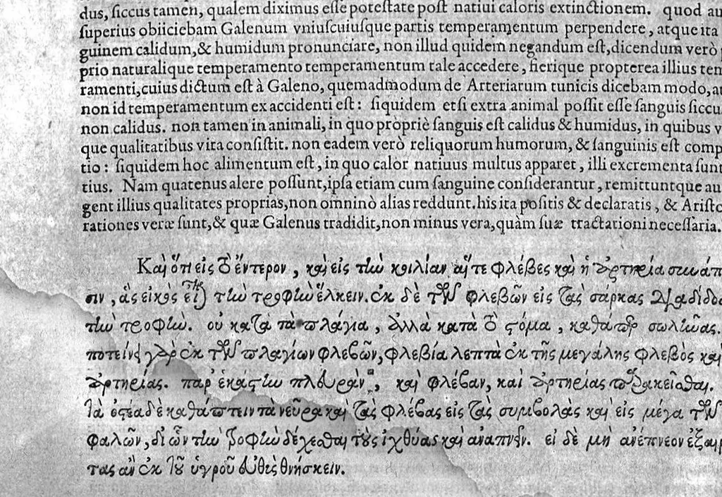 An illustration from Theophrasti Eresii, peripateticorum post Aristotelem principis, Pleraque : antehac Latine nunquam, nunc Graece & Latine simul edita. Interpretibus, Daniele Furlano Cretensi, Adriano Turnebo. Accesserunt, Liber de innato spiritu, Aristoteli attributus, & Danielis Furlani Uberes ad omnia Commentarii : Ex Bibliotheca Ioan. Vincentii Pinelli, 1605, leaf 379