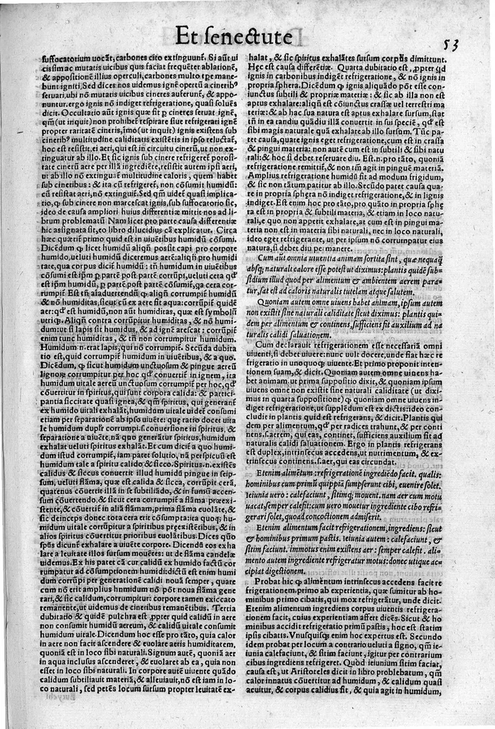 An illustration from Parva naturalia Augustini Niphi medices philosophi Suessani, videlicet Physiognomicorum libri tres, De animalium motu lib. unus, De longitudine & brevitate vitae lib. unus, De juventute & senectute lib. unus, De respiratione lib. unus, De morte & vita lib. unus, De memoria & reminiscentia lib. unus, De somno & vigilia lib. unus, De insomniis lib. unus, De divinatione naturali, artificiosa, et de prophetia lib. unus. Omnia post primas editiones nunc primum emendatiora in lucem prodeunt, 1550, leaf 104