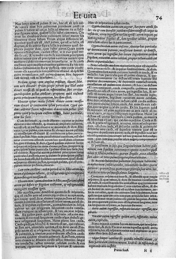An illustration from Parva naturalia Augustini Niphi medices philosophi Suessani, videlicet Physiognomicorum libri tres, De animalium motu lib. unus, De longitudine & brevitate vitae lib. unus, De juventute & senectute lib. unus, De respiratione lib. unus, De morte & vita lib. unus, De memoria & reminiscentia lib. unus, De somno & vigilia lib. unus, De insomniis lib. unus, De divinatione naturali, artificiosa, et de prophetia lib. unus. Omnia post primas editiones nunc primum emendatiora in lucem prodeunt, 1550, leaf 146