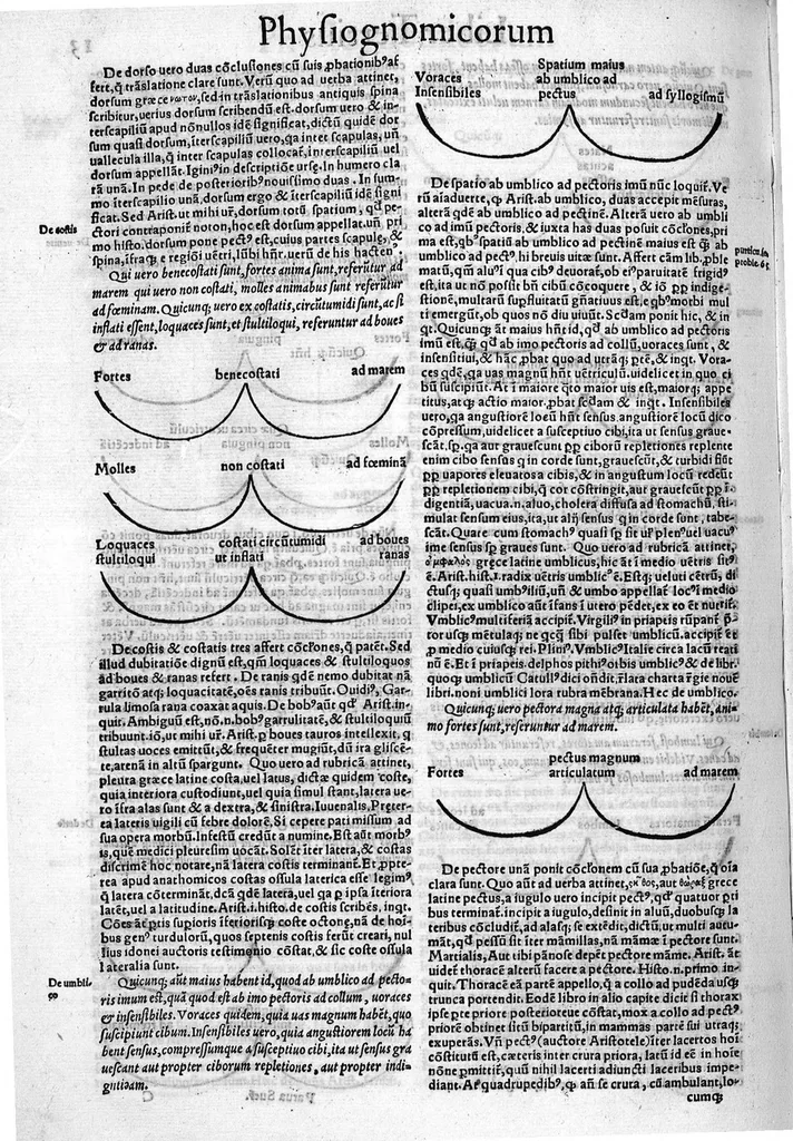 An illustration from Parva naturalia Augustini Niphi medices philosophi Suessani, videlicet Physiognomicorum libri tres, De animalium motu lib. unus, De longitudine & brevitate vitae lib. unus, De juventute & senectute lib. unus, De respiratione lib. unus, De morte & vita lib. unus, De memoria & reminiscentia lib. unus, De somno & vigilia lib. unus, De insomniis lib. unus, De divinatione naturali, artificiosa, et de prophetia lib. unus. Omnia post primas editiones nunc primum emendatiora in lucem prodeunt, 1550, leaf 25