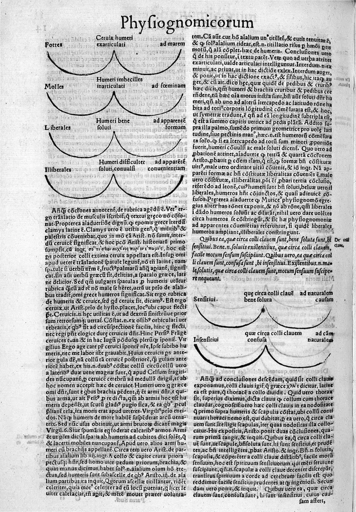 An illustration from Parva naturalia Augustini Niphi medices philosophi Suessani, videlicet Physiognomicorum libri tres, De animalium motu lib. unus, De longitudine & brevitate vitae lib. unus, De juventute & senectute lib. unus, De respiratione lib. unus, De morte & vita lib. unus, De memoria & reminiscentia lib. unus, De somno & vigilia lib. unus, De insomniis lib. unus, De divinatione naturali, artificiosa, et de prophetia lib. unus. Omnia post primas editiones nunc primum emendatiora in lucem prodeunt, 1550, leaf 27