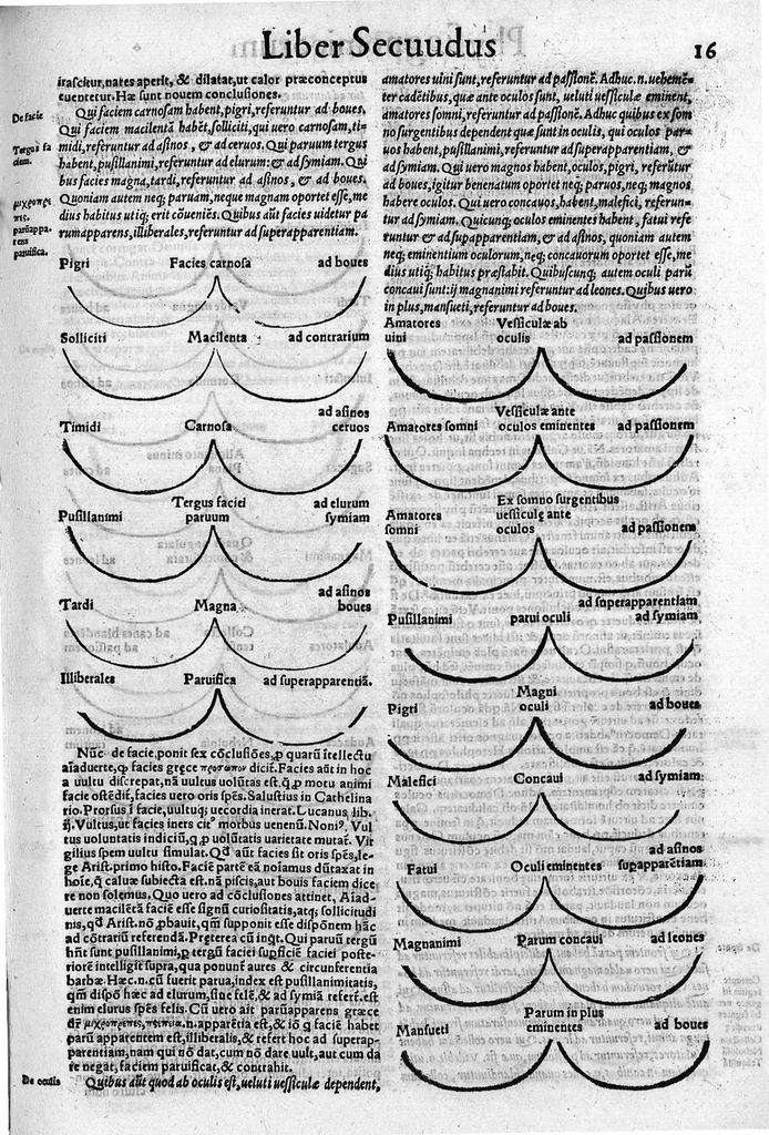 An illustration from Parva naturalia Augustini Niphi medices philosophi Suessani, videlicet Physiognomicorum libri tres, De animalium motu lib. unus, De longitudine & brevitate vitae lib. unus, De juventute & senectute lib. unus, De respiratione lib. unus, De morte & vita lib. unus, De memoria & reminiscentia lib. unus, De somno & vigilia lib. unus, De insomniis lib. unus, De divinatione naturali, artificiosa, et de prophetia lib. unus. Omnia post primas editiones nunc primum emendatiora in lucem prodeunt, 1550, leaf 30