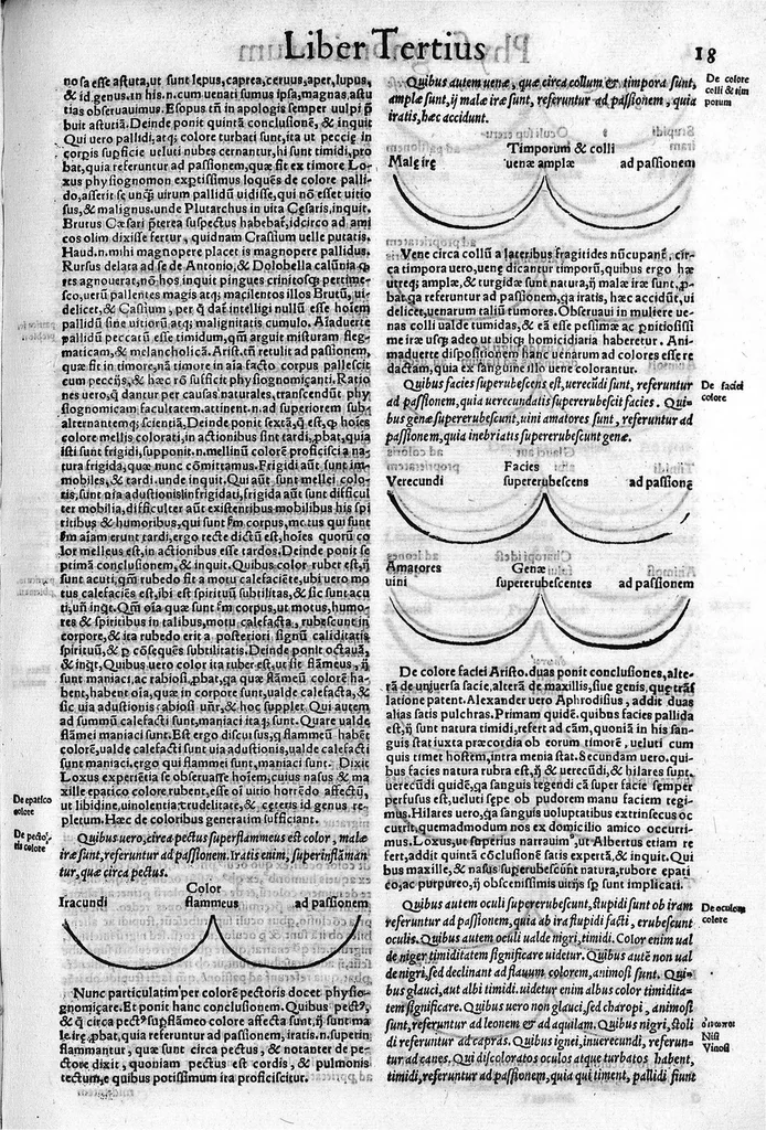 An illustration from Parva naturalia Augustini Niphi medices philosophi Suessani, videlicet Physiognomicorum libri tres, De animalium motu lib. unus, De longitudine & brevitate vitae lib. unus, De juventute & senectute lib. unus, De respiratione lib. unus, De morte & vita lib. unus, De memoria & reminiscentia lib. unus, De somno & vigilia lib. unus, De insomniis lib. unus, De divinatione naturali, artificiosa, et de prophetia lib. unus. Omnia post primas editiones nunc primum emendatiora in lucem prodeunt, 1550, leaf 34