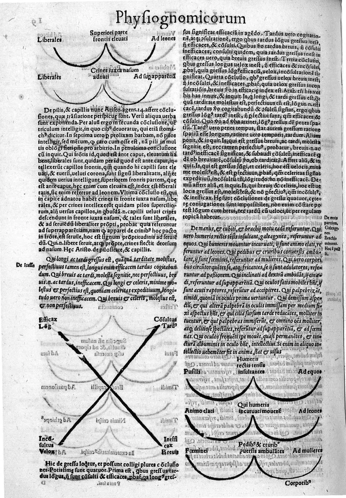 An illustration from Parva naturalia Augustini Niphi medices philosophi Suessani, videlicet Physiognomicorum libri tres, De animalium motu lib. unus, De longitudine & brevitate vitae lib. unus, De juventute & senectute lib. unus, De respiratione lib. unus, De morte & vita lib. unus, De memoria & reminiscentia lib. unus, De somno & vigilia lib. unus, De insomniis lib. unus, De divinatione naturali, artificiosa, et de prophetia lib. unus. Omnia post primas editiones nunc primum emendatiora in lucem prodeunt, 1550, leaf 37