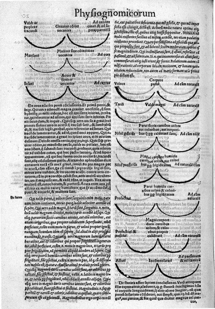 An illustration from Parva naturalia Augustini Niphi medices philosophi Suessani, videlicet Physiognomicorum libri tres, De animalium motu lib. unus, De longitudine & brevitate vitae lib. unus, De juventute & senectute lib. unus, De respiratione lib. unus, De morte & vita lib. unus, De memoria & reminiscentia lib. unus, De somno & vigilia lib. unus, De insomniis lib. unus, De divinatione naturali, artificiosa, et de prophetia lib. unus. Omnia post primas editiones nunc primum emendatiora in lucem prodeunt, 1550, leaf 39