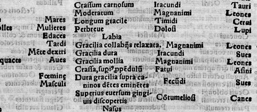 An illustration from Parva naturalia Augustini Niphi medices philosophi Suessani, videlicet Physiognomicorum libri tres, De animalium motu lib. unus, De longitudine & brevitate vitae lib. unus, De juventute & senectute lib. unus, De respiratione lib. unus, De morte & vita lib. unus, De memoria & reminiscentia lib. unus, De somno & vigilia lib. unus, De insomniis lib. unus, De divinatione naturali, artificiosa, et de prophetia lib. unus. Omnia post primas editiones nunc primum emendatiora in lucem prodeunt, 1550, leaf 42