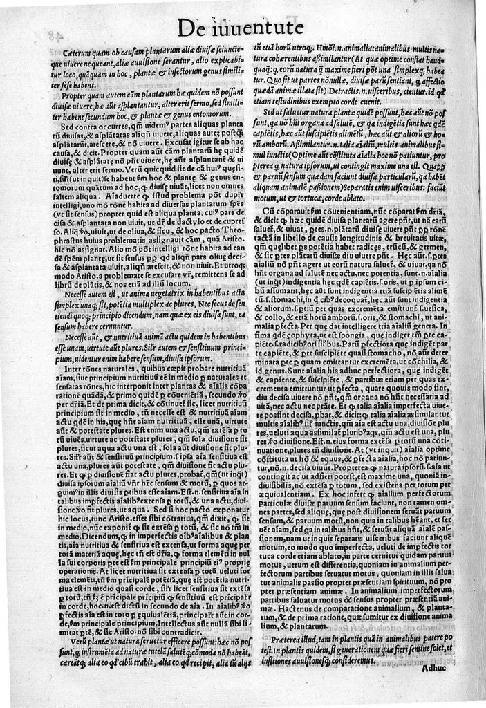 An illustration from Parva naturalia Augustini Niphi medices philosophi Suessani, videlicet Physiognomicorum libri tres, De animalium motu lib. unus, De longitudine & brevitate vitae lib. unus, De juventute & senectute lib. unus, De respiratione lib. unus, De morte & vita lib. unus, De memoria & reminiscentia lib. unus, De somno & vigilia lib. unus, De insomniis lib. unus, De divinatione naturali, artificiosa, et de prophetia lib. unus. Omnia post primas editiones nunc primum emendatiora in lucem prodeunt, 1550, leaf 95