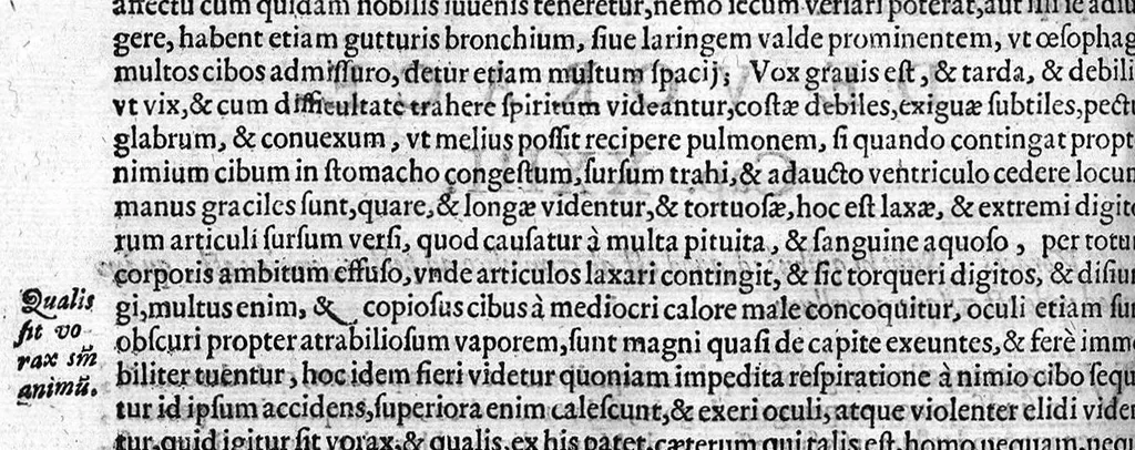 An illustration from In Physiognomica Aristotelis commentarii a Camillo Baldo, ... lucubrati. Opus ... Hieronymi Tamburini diligentia et sumptibus nunc primum in lucem editum..., 1621, leaf 211