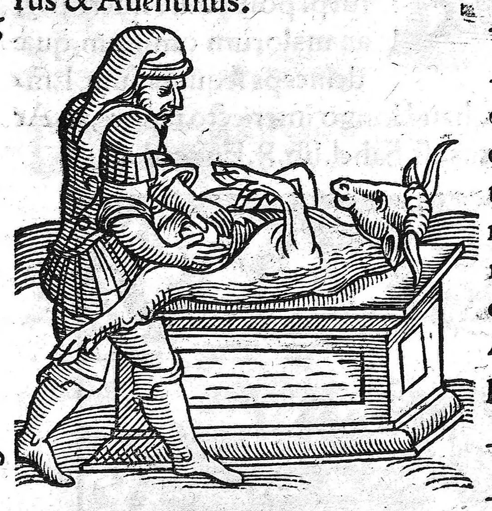 An illustration from Prodigiorum ac ostentorum chronicon, quae, praeter naturae ordinem, et in superioribus et his inferioribus mundi regionibus, ab exordio mundi usque ad haec nostra tempora acciderunt... conscriptum per Conradum Lycosthenem,..., 1557, leaf 113