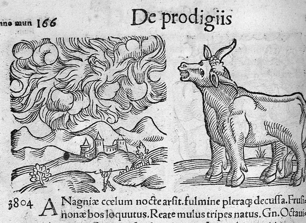 An illustration from Prodigiorum ac ostentorum chronicon, quae, praeter naturae ordinem, et in superioribus et his inferioribus mundi regionibus, ab exordio mundi usque ad haec nostra tempora acciderunt... conscriptum per Conradum Lycosthenem,..., 1557, leaf 177