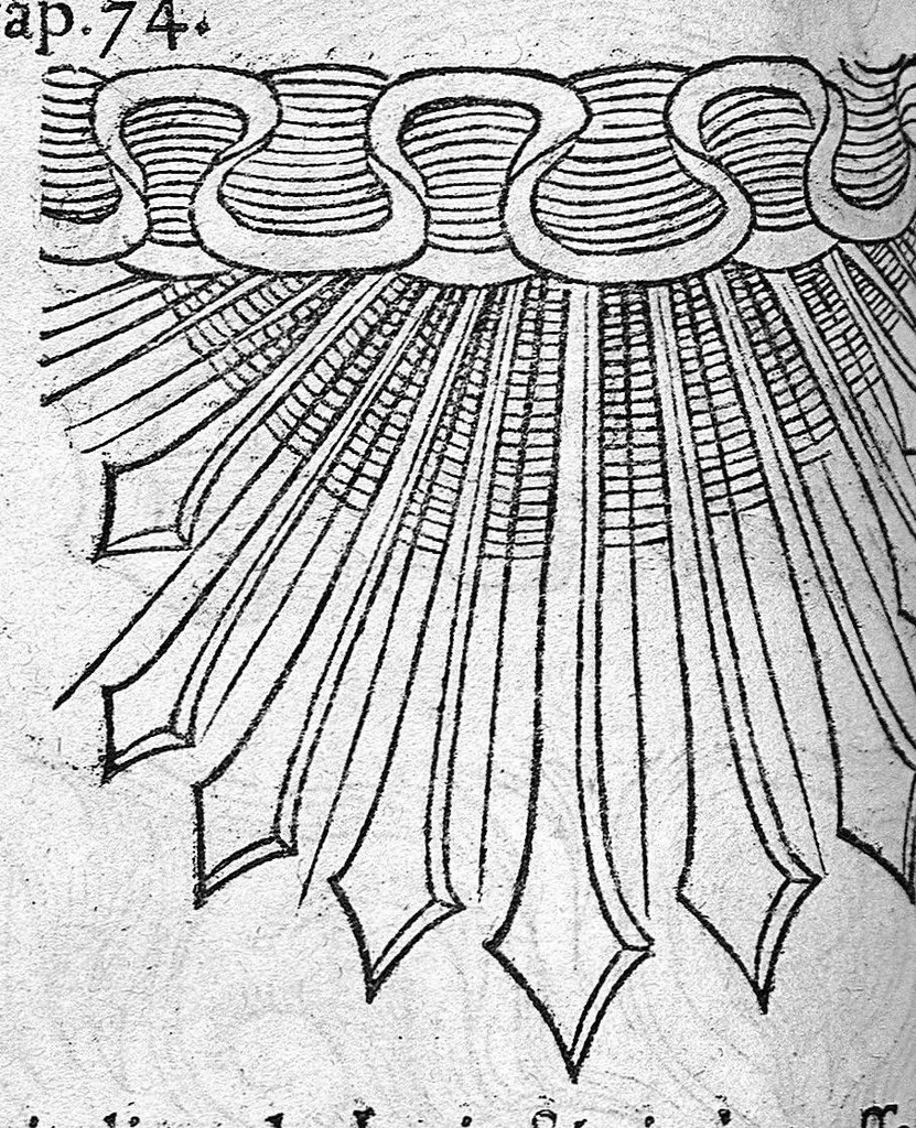An illustration from Prodigiorum ac ostentorum chronicon, quae, praeter naturae ordinem, et in superioribus et his inferioribus mundi regionibus, ab exordio mundi usque ad haec nostra tempora acciderunt... conscriptum per Conradum Lycosthenem,..., 1557, leaf 177