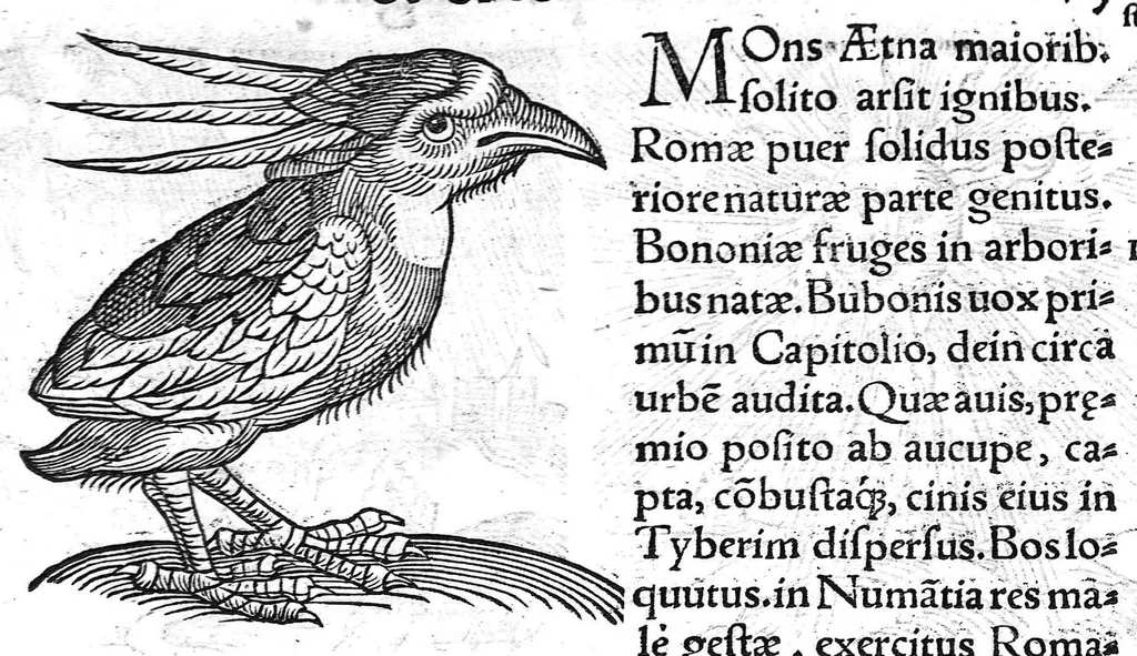 An illustration from Prodigiorum ac ostentorum chronicon, quae, praeter naturae ordinem, et in superioribus et his inferioribus mundi regionibus, ab exordio mundi usque ad haec nostra tempora acciderunt... conscriptum per Conradum Lycosthenem,..., 1557, leaf 184