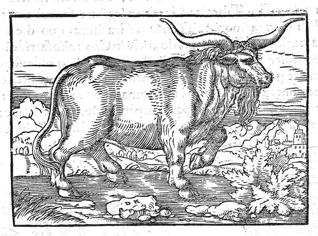 An illustration from Prodigiorum ac ostentorum chronicon, quae, praeter naturae ordinem, et in superioribus et his inferioribus mundi regionibus, ab exordio mundi usque ad haec nostra tempora acciderunt... conscriptum per Conradum Lycosthenem,..., 1557, leaf 184