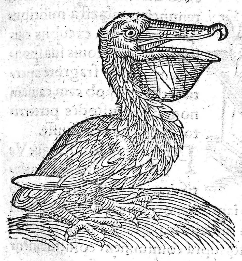 An illustration from Prodigiorum ac ostentorum chronicon, quae, praeter naturae ordinem, et in superioribus et his inferioribus mundi regionibus, ab exordio mundi usque ad haec nostra tempora acciderunt... conscriptum per Conradum Lycosthenem,..., 1557, leaf 262