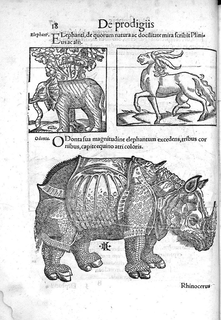 An illustration from Prodigiorum ac ostentorum chronicon, quae, praeter naturae ordinem, et in superioribus et his inferioribus mundi regionibus, ab exordio mundi usque ad haec nostra tempora acciderunt... conscriptum per Conradum Lycosthenem,..., 1557, leaf 29