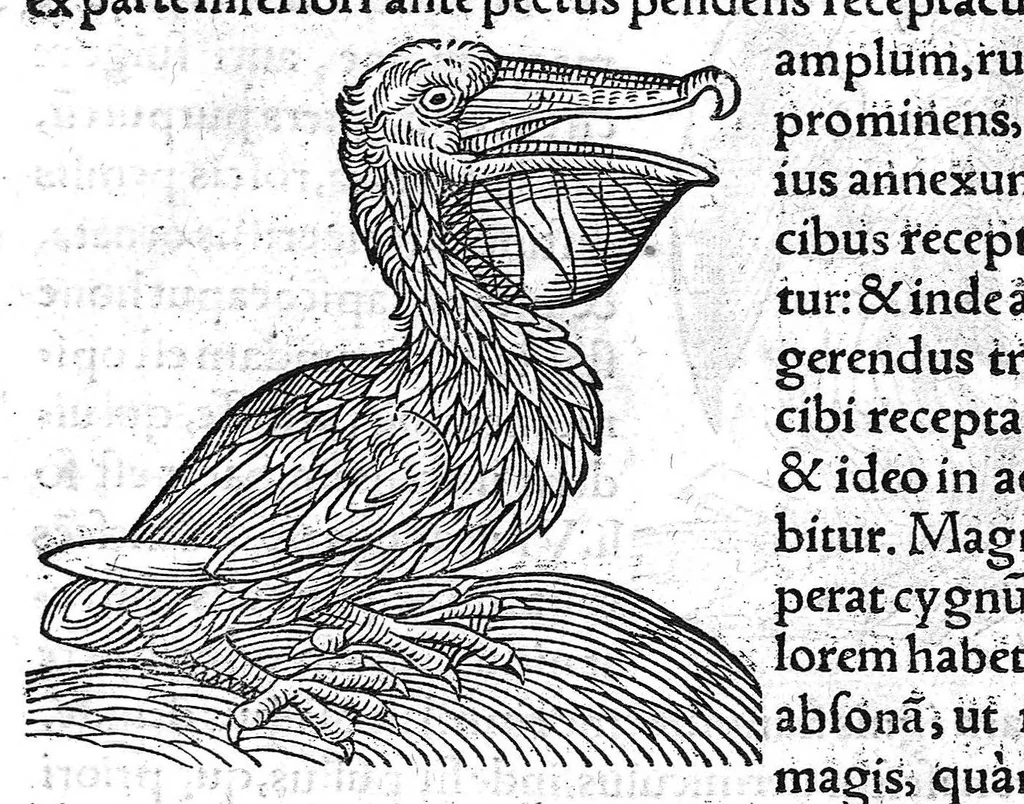 An illustration from Prodigiorum ac ostentorum chronicon, quae, praeter naturae ordinem, et in superioribus et his inferioribus mundi regionibus, ab exordio mundi usque ad haec nostra tempora acciderunt... conscriptum per Conradum Lycosthenem,..., 1557, leaf 40