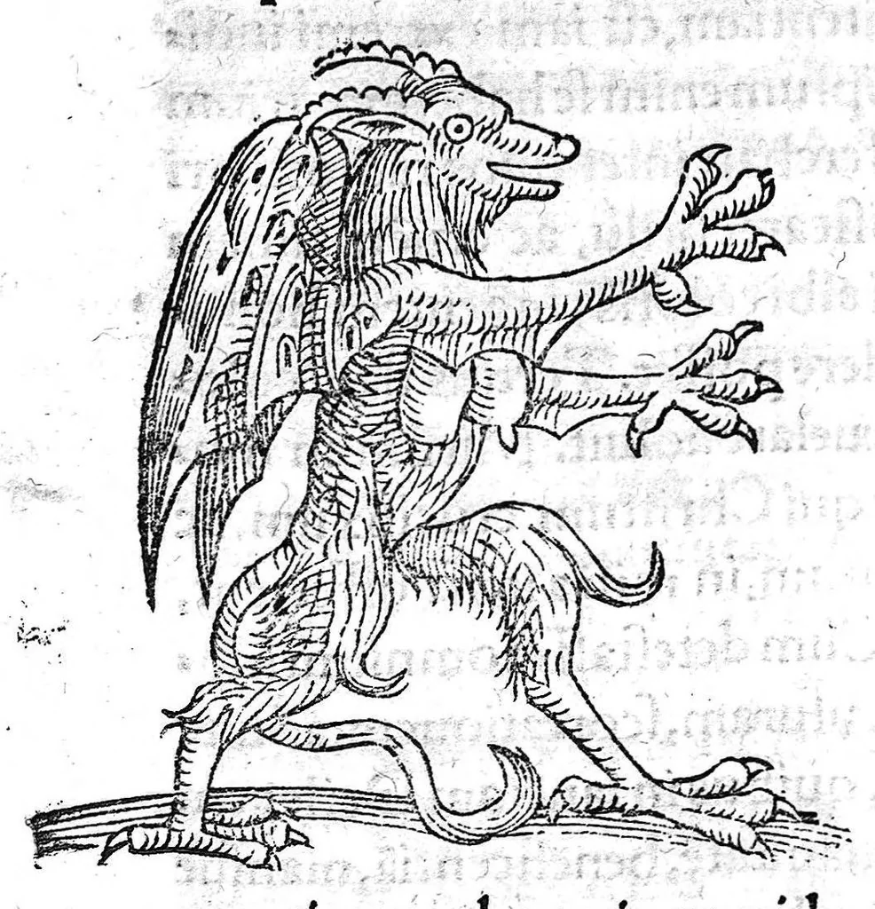 An illustration from Prodigiorum ac ostentorum chronicon, quae, praeter naturae ordinem, et in superioribus et his inferioribus mundi regionibus, ab exordio mundi usque ad haec nostra tempora acciderunt... conscriptum per Conradum Lycosthenem,..., 1557, leaf 561