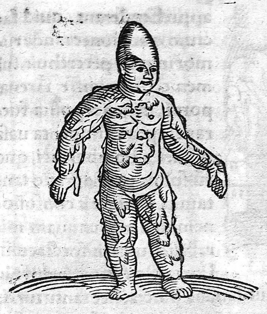 An illustration from Prodigiorum ac ostentorum chronicon, quae, praeter naturae ordinem, et in superioribus et his inferioribus mundi regionibus, ab exordio mundi usque ad haec nostra tempora acciderunt... conscriptum per Conradum Lycosthenem,..., 1557, leaf 596