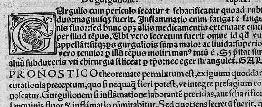 An illustration from Enrici a Cuellar (...) ad libros tres praedictionum hippocr. Commento etiam Galeni aposito, 1543, leaf 400
