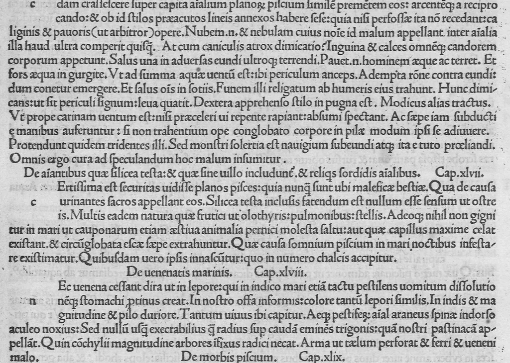 An illustration from C. Plinii Secundi naturae historiarum libri XXXVII, leaf 157