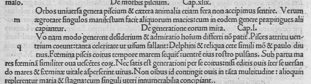 An illustration from C. Plinii Secundi naturae historiarum libri XXXVII, leaf 157