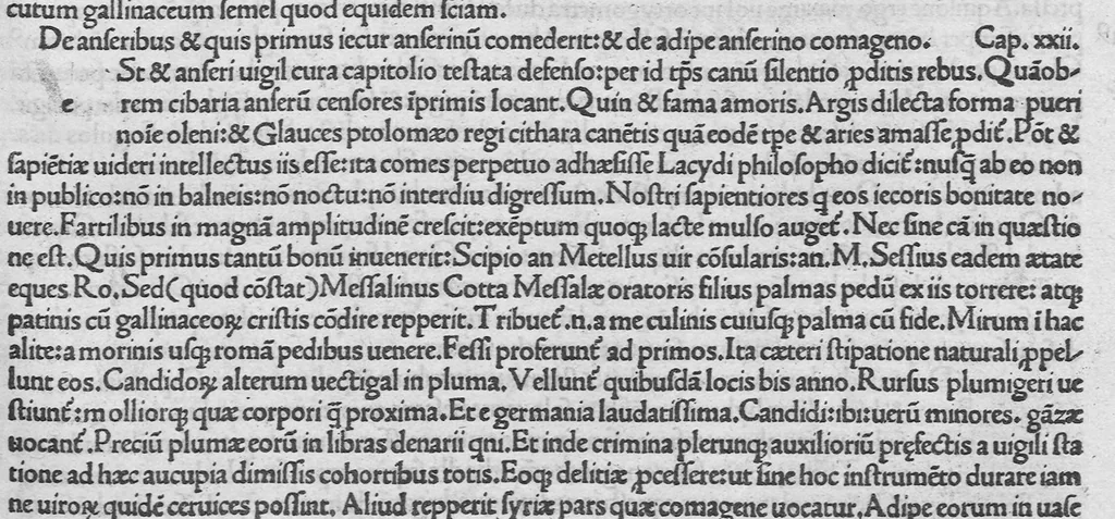 An illustration from C. Plinii Secundi naturae historiarum libri XXXVII, leaf 163