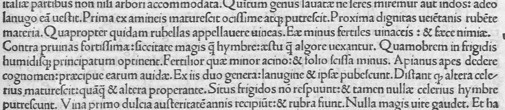 An illustration from C. Plinii Secundi naturae historiarum libri XXXVII, leaf 213