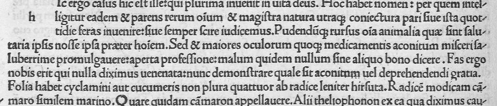 An illustration from C. Plinii Secundi naturae historiarum libri XXXVII, leaf 394