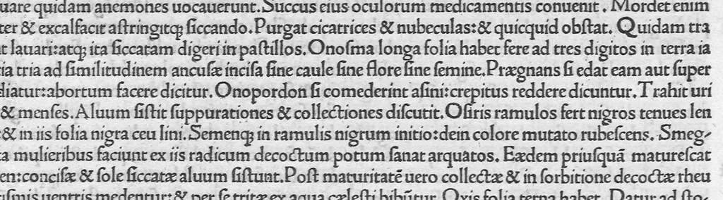 An illustration from C. Plinii Secundi naturae historiarum libri XXXVII, leaf 401