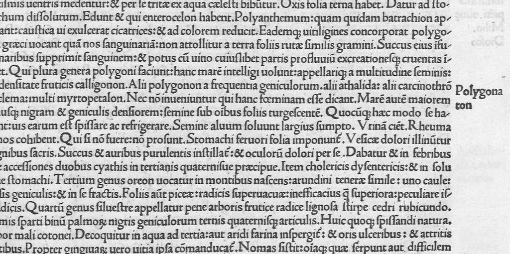 An illustration from C. Plinii Secundi naturae historiarum libri XXXVII, leaf 401